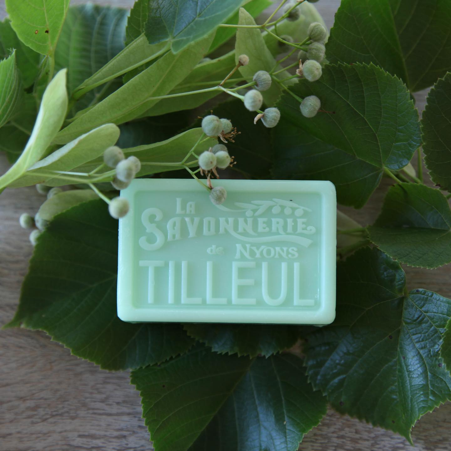 Green bar of soap that reads La Savonnerie de Nyons Tilleul surrounded by leaves.