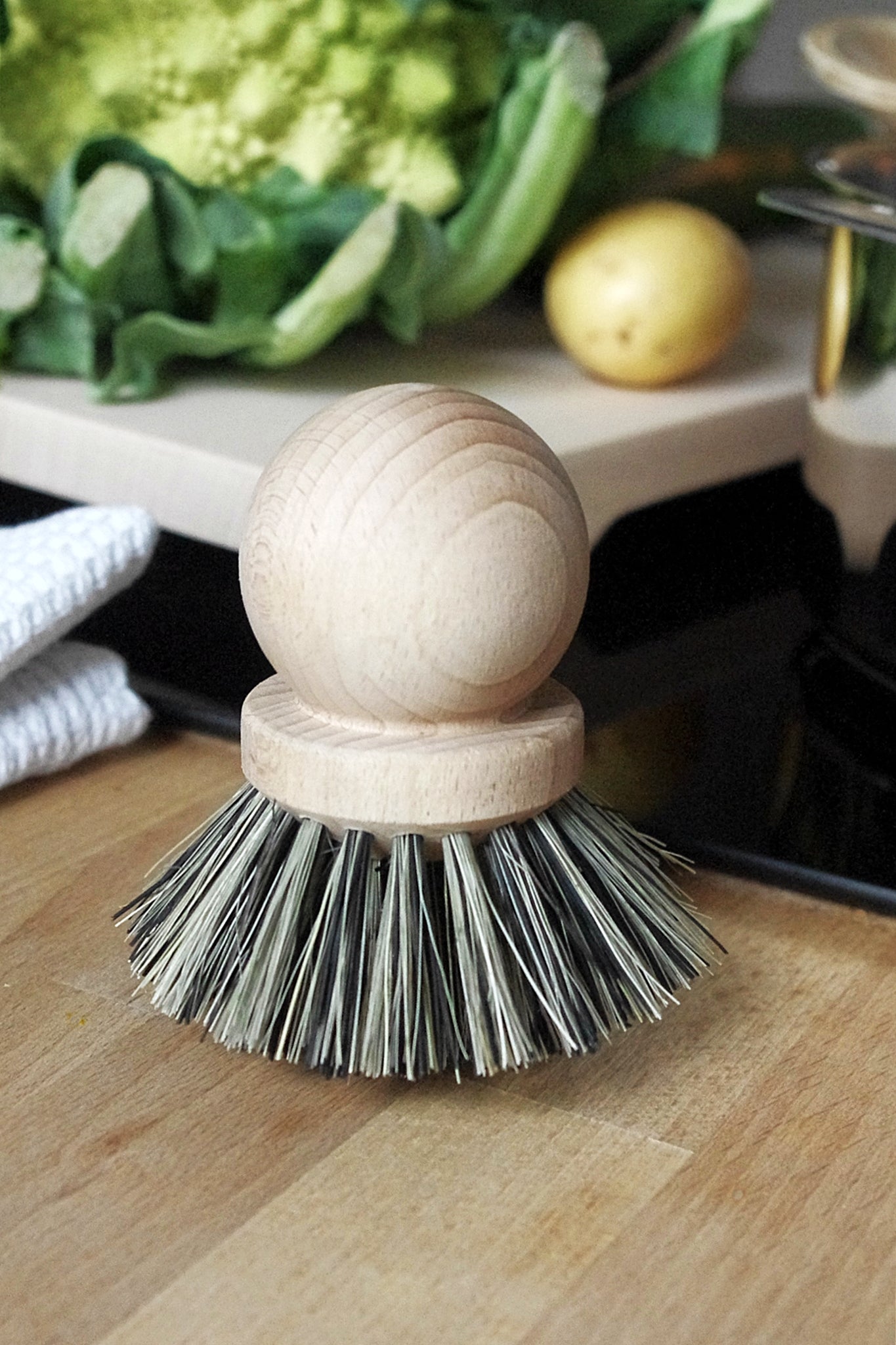 Andrée Jardin Tradition Handled Dish Brush Replacement – Hampton