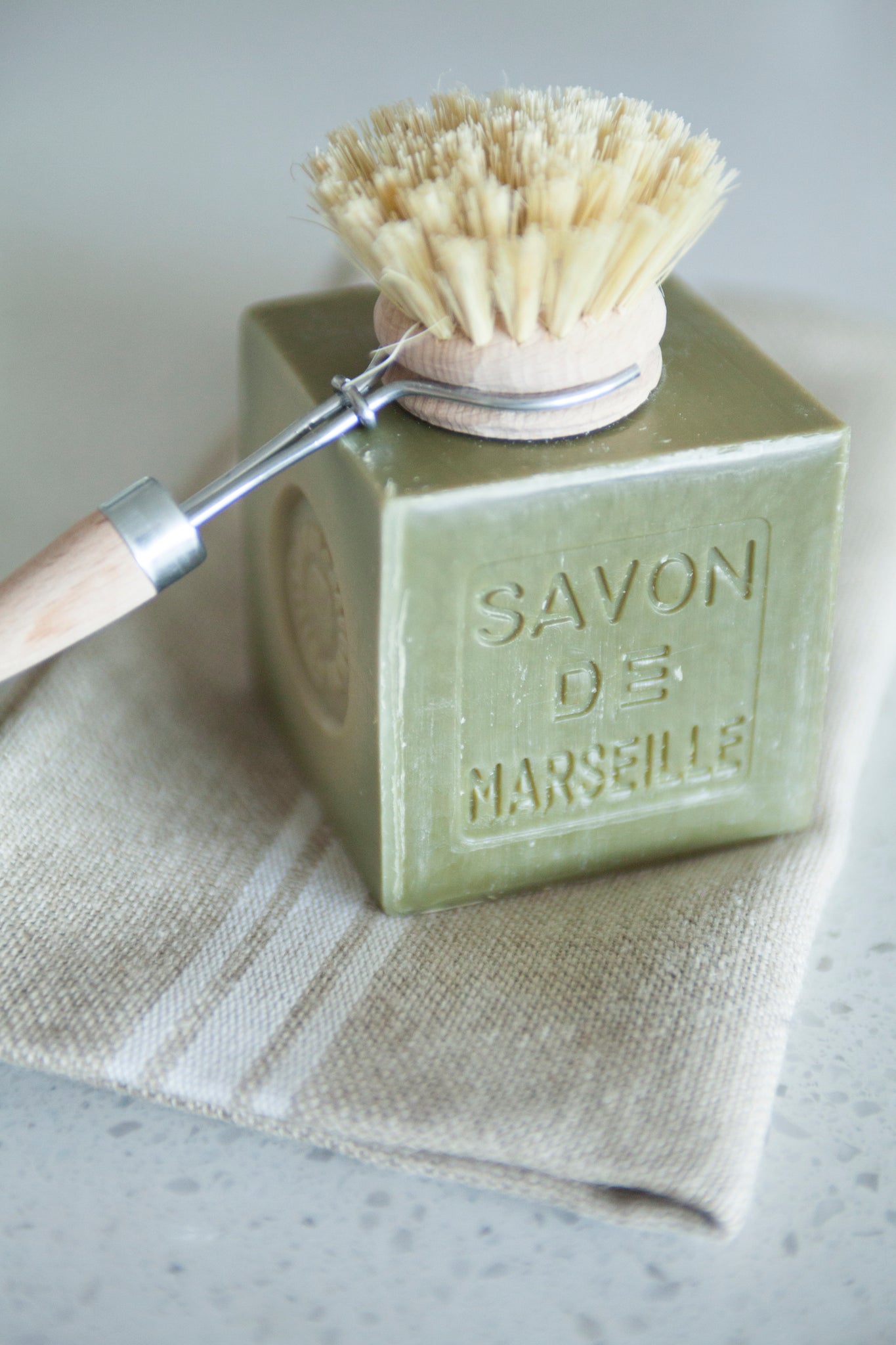 Andrée Jardin Tradition Handled Dish Brush (Set of 2)